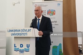 WUF13 çərçivəsində Lənkəran şəhərində festival başlayıb - FOTO 
