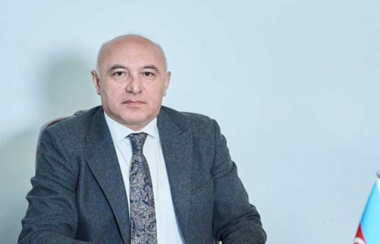 Arzuxan Əlizadə, Milli Məclisin deputatı