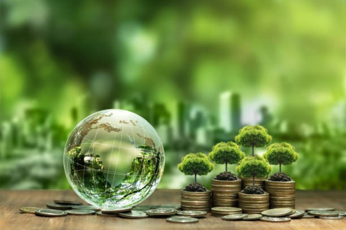 Banklar yaşıl kreditlər üzrə Mərkəzi Banka hesabat verəcək