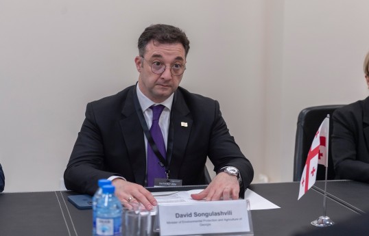 Gürcüstanın Ətraf Mühitin Mühafizəsi və Kənd Təsərrüfatı naziri David Songulashvili