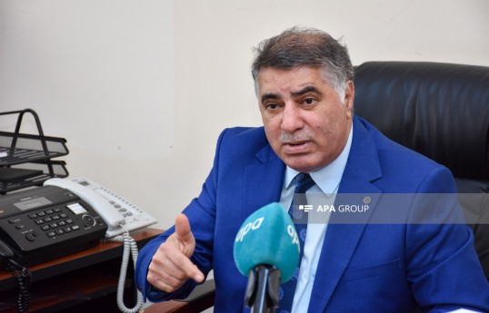 Dilçilik İnstitutunun direktoru professor Nadir Məmmədli