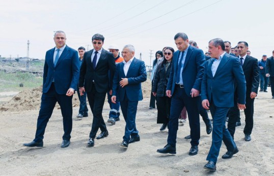 YAP-ın Sabunçu təşkilatı və “Balakhani Operating Company LTD”nin birgə təşəbbüsü ilə ağacəkmə aksiyası keçirilib