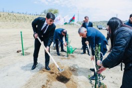 YAP-ın Sabunçu təşkilatı və “Balakhani Operating Company LTD”nin birgə təşəbbüsü ilə ağacəkmə aksiyası keçirilib