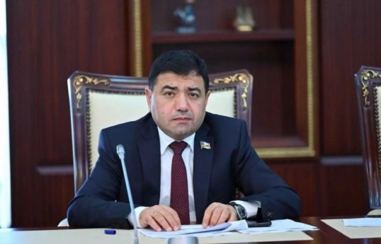 Rizvan Nəbiyev, Milli Məclisin Beynəlxalq münasibətlər və parlamentlərarası əlaqələr komitəsinin üzvü