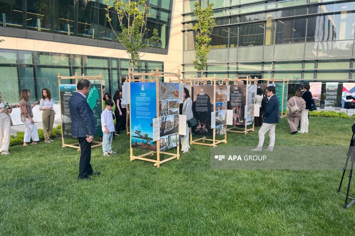 Bakıda WUF13 çərçivəsində “Woodlife Sweden” sərgisinin açılışı olub - FOTO 