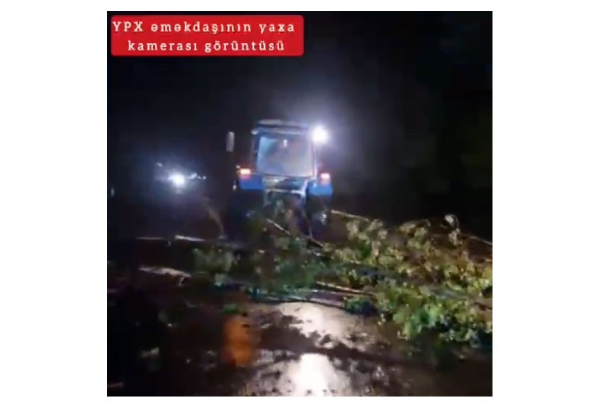 Yol polisi: Ağac yola aşıb, maşınların hərəkətində çətinlik yaranıb