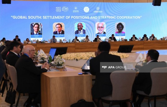 Qlobal Cənub QHT Platformasının Baş Assambleyasında panel müzakirələri keçirilib - FOTO 