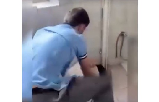 Bakıda məktəbdə şagirdlər arasında münaqişə baş verib, hüquq-mühafizə orqanları araşdırma aparır