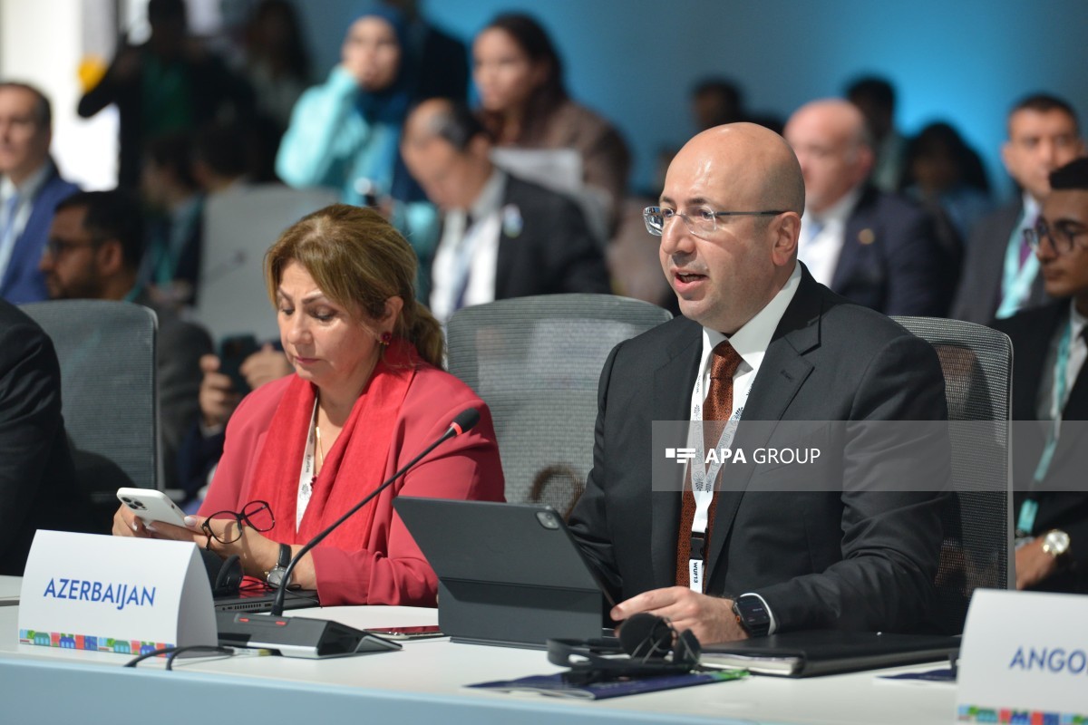 Azərbaycanda bərpa olunan enerjinin ümumi enerji balansındakı payı artırılacaq