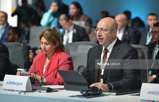 Azərbaycanda bərpa olunan enerjinin ümumi enerji balansındakı payı artırılacaq