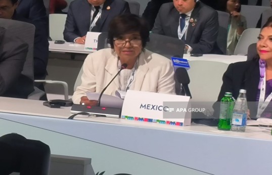 Meksika nümayəndəsi:  WUF13-ü yüksək səviyyədə təşkil etdiyinə görə Azərbaycana təşəkkür edirik