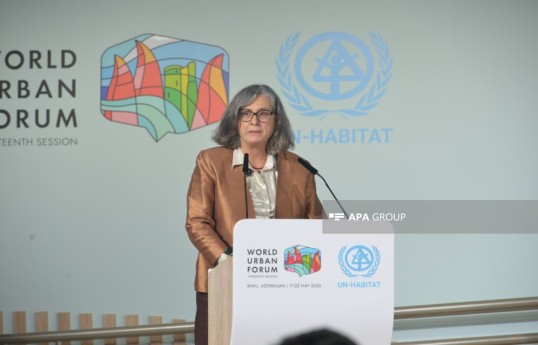 BMT-nin Məskunlaşma Proqramının (UN-Habitat) icraçı direktoru Anaklaudia Rossbax