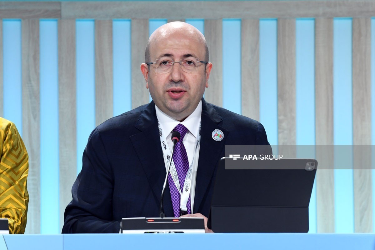 Dövlət Şəhərsalma və Arxitektura Komitəsinin sədri, WUF13-ün milli koordinatoru Anar Quliyev