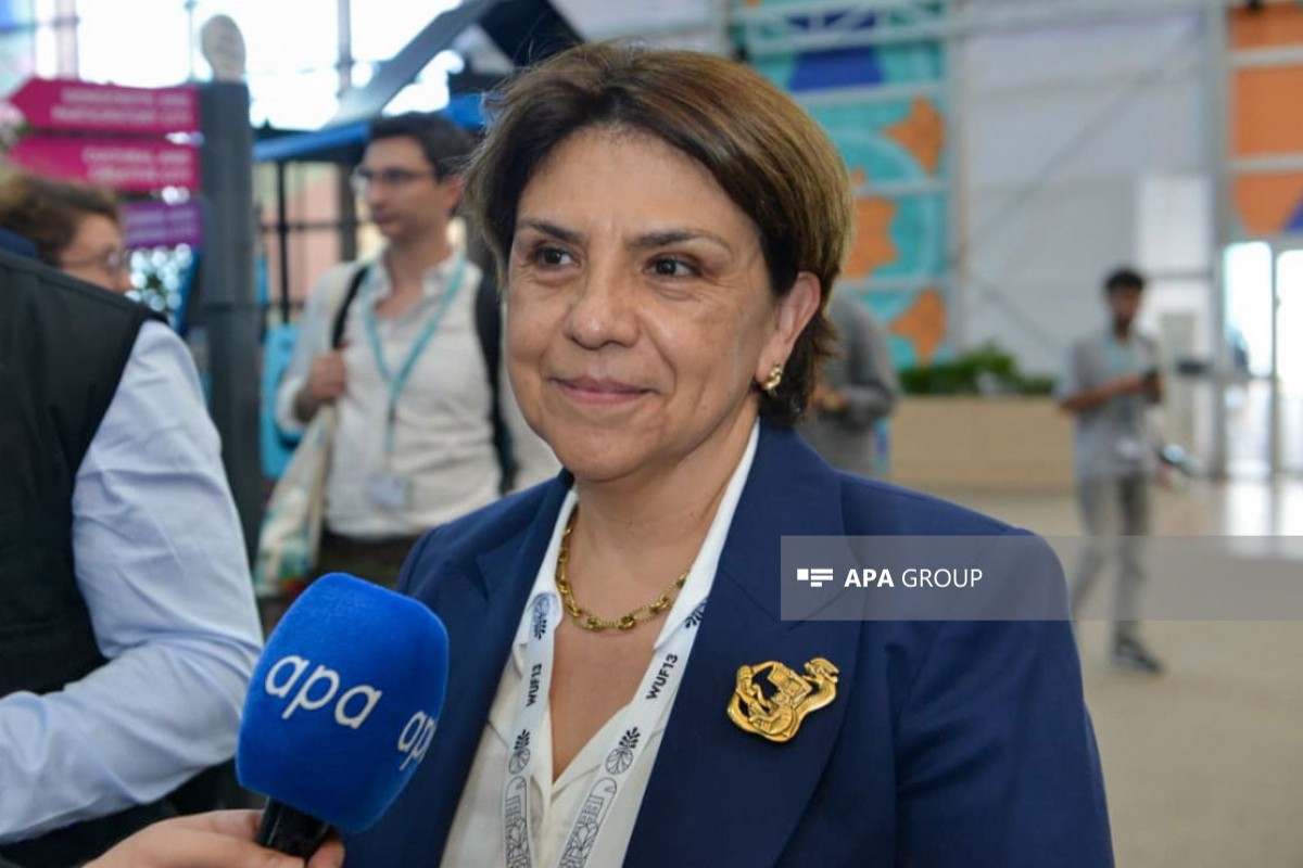 Meksikanın Azərbaycandakı səfiri Mariya Viktoriya Romero Kabalyero