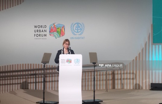 WUF13-ün milli əlaqələndiricisinin müavini Gülşən Rzayeva