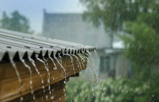 Leysandan sonra sığorta kimlərin zərərini ödəyəcək?