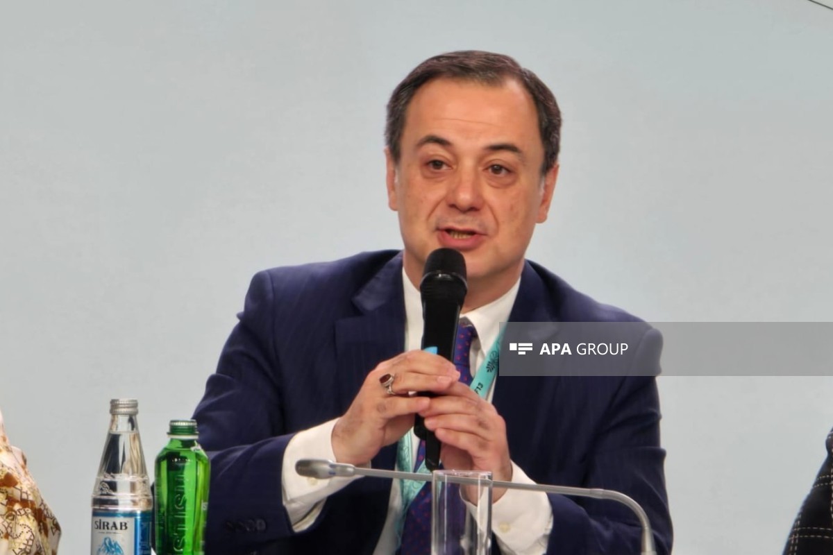 Azərbaycan Xarici İşlər Nazirliyinin xüsusi tapşırıqlar üzrə səfiri Elşad İskəndərov