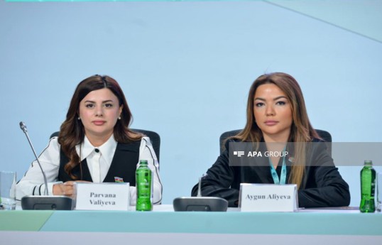 Aygün Əliyeva: İnklüziv şəhər anlayışı fiziki infrastrukturla məhdudlaşmır