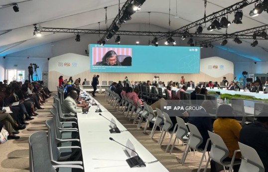 UN-Habitatın icraçı direktoru: Afrikalıların 50 faizi şəhər ərazilərində yaşayır