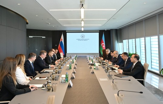 Azərbaycanla Slovakiya arasında iqtisadi-ticarət əməkdaşlığı müzakirə edilib