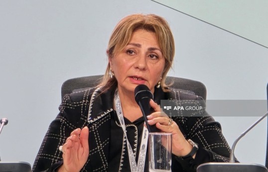 Dövlət Şəhərsalma və Arxitektura Komitəsi Aparat rəhbərinin müavini Gülşən Rzayeva