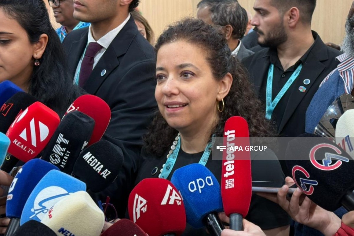 BMT-nin Cənub-Cənub Əməkdaşlığı üzrə Ofisinin (The United Nations Office for South-South Cooperation (UNOSSC) direktoru Dima Al-Khatib