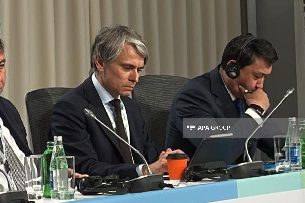 BMT-nin Avropa İqtisadi Komissiyasının (UNECE) icraçı katibinin müavini Dmitri Mariyasin