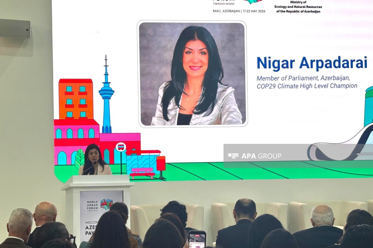 Milli Məclis deputatı Nigar Arpadarai