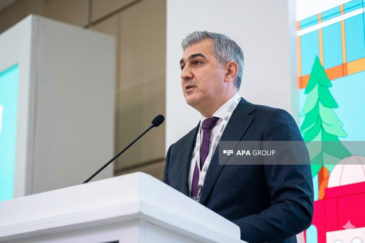 DMX rəisi: Azərbaycanda miqrasiya siyasətində insanyönümlü yanaşma tətbiq edilir