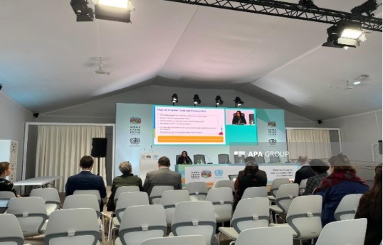 ESCAP: Asiya-Sakit Okean regionunda şəhər dayanıqlılığı üçün sistem islahatları vacibdir