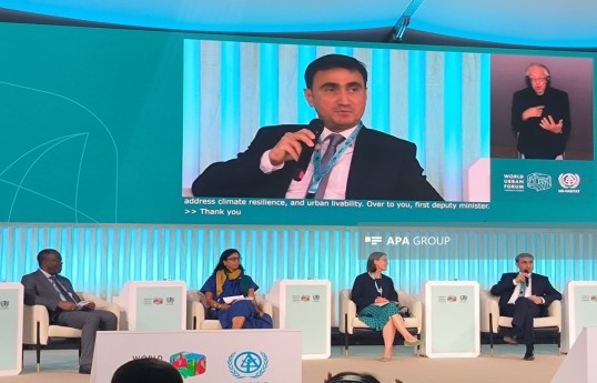 Nazir müavini: Azərbaycan aşağı emissiyalı inkişaf strategiyası üzərində işləyir