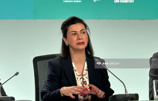İqtisadi Əməkdaşlıq Təşkilatı Təmiz Enerji Mərkəzinin icraçı direktoru Aysel Yaqubova