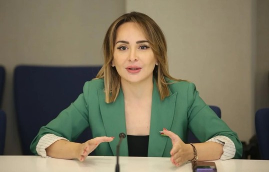 WUF13-də Azərbaycanda yaşlı insanların hüquqlarının qorunması istiqamətində işlərdən danışılıb