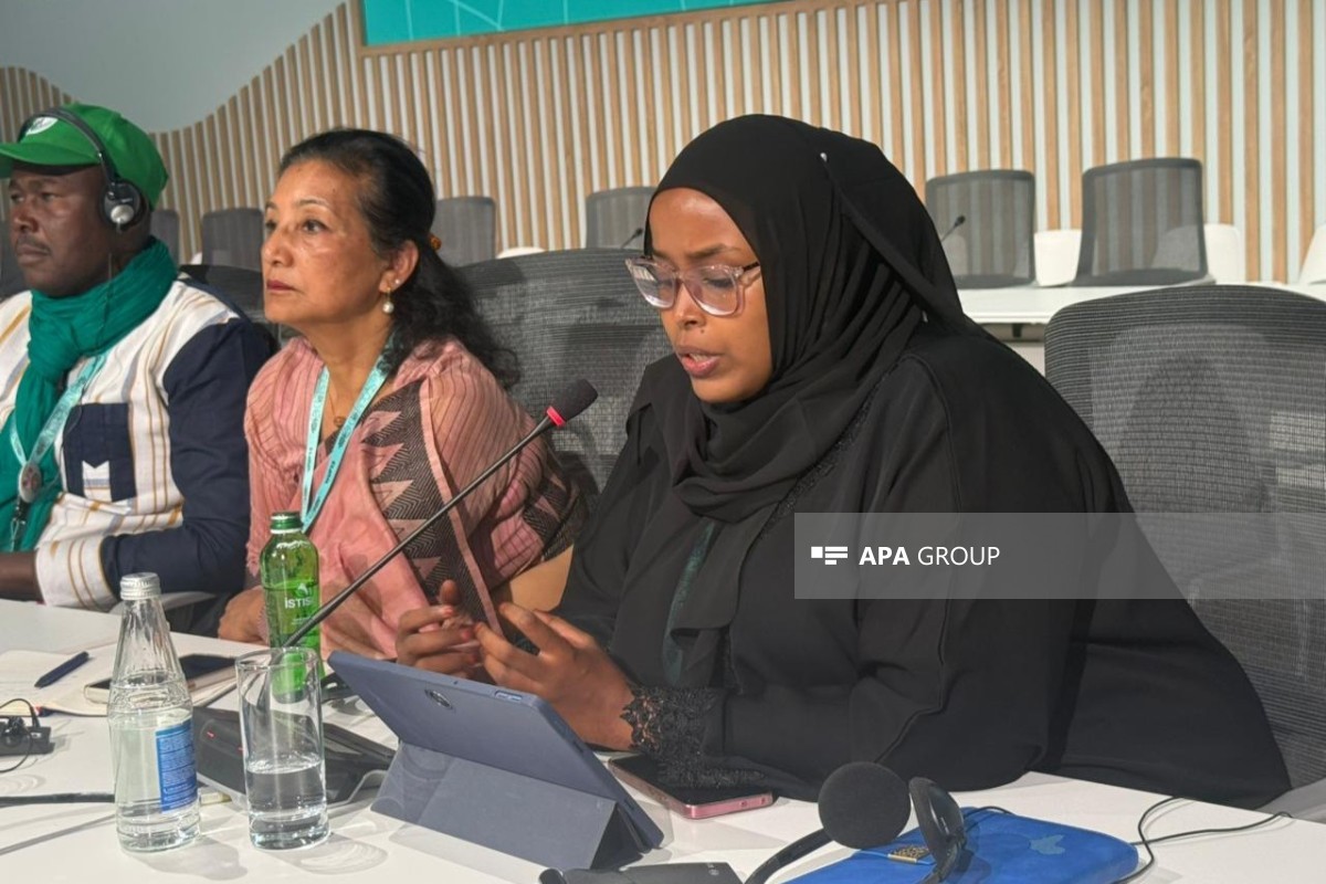 Somali nümayəndəsi: Altı ayı quraqlıq olur, ilin qalan ayları isə daşqınlarla üz-üzəyik