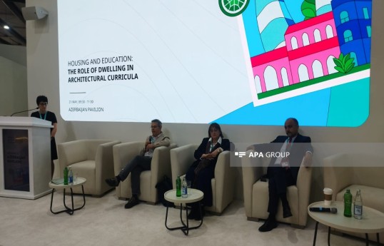 Alim: Böyük şəhəri paytaxta çevirərkən yeni tikililərlə qədimlilik arasında münasibət nəzərə alınmalıdır