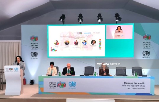 Milli Məclisin Təbii ehtiyatlar, enerji və ekologiya komitəsinin sədr müavini Fatma Yıldırım