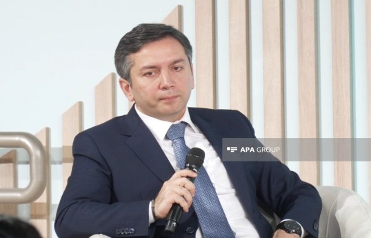 Azərbaycan xarici işlər nazirinin müavini Yalçın Rəfiyev
