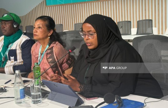 Somali nümayəndəsi: Altı ayı quraqlıq olur, ilin qalan ayları isə daşqınlarla üz-üzəyik