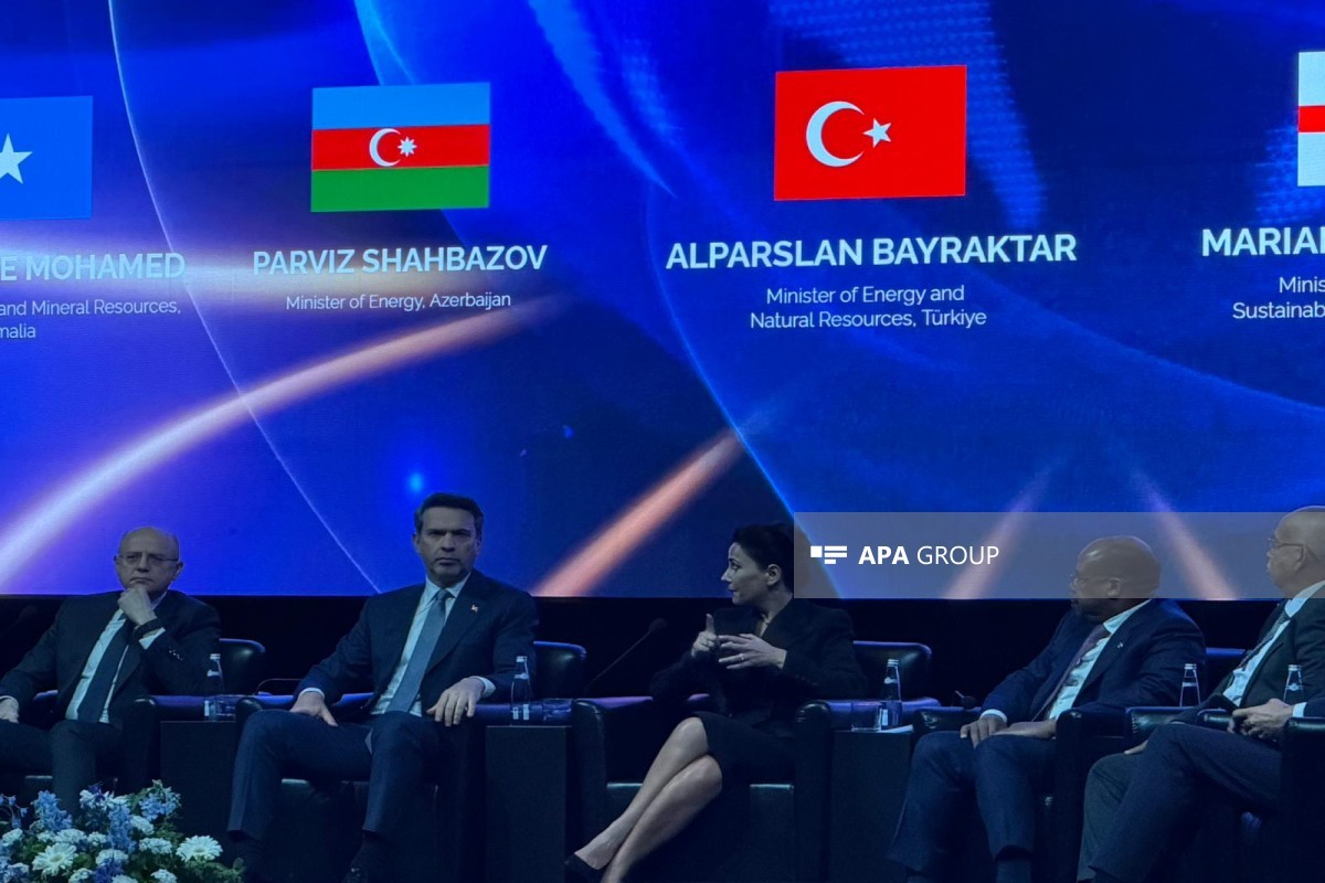 Nazir: Azərbaycan, Gürcüstan və Türkiyə əməkdaşlığı regionun strateji əhəmiyyətini artırır