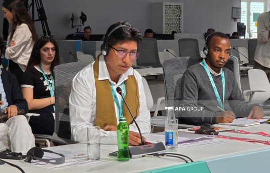 Boliviya nümayəndəsi: İnkişaf aborigen xalqların köçürülməsi hesabına olmamalıdır