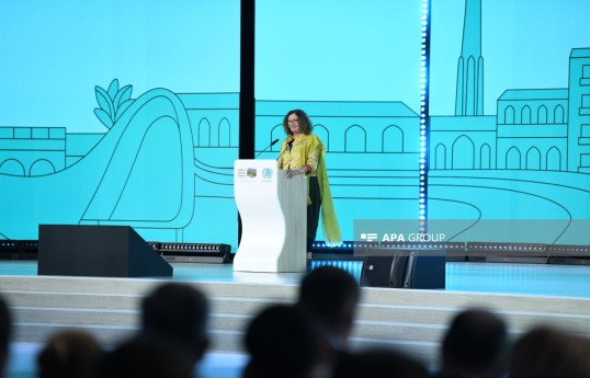 Latın Amerikası Qadınlar və Habitat Şəbəkəsinin həmtəsisçisi Ana Falu