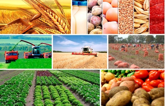 Aqrar inkişafın yeni mərhələsi: məhsuldarlıq, ərzaq təhlükəsizliyi və ixrac gücü - TƏHLİL 