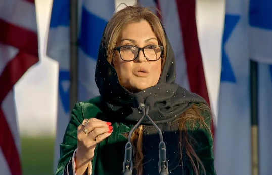 Amerika müsəlman qadınları şurasının rəhbəri, Pakistan əsilli Anila Ali