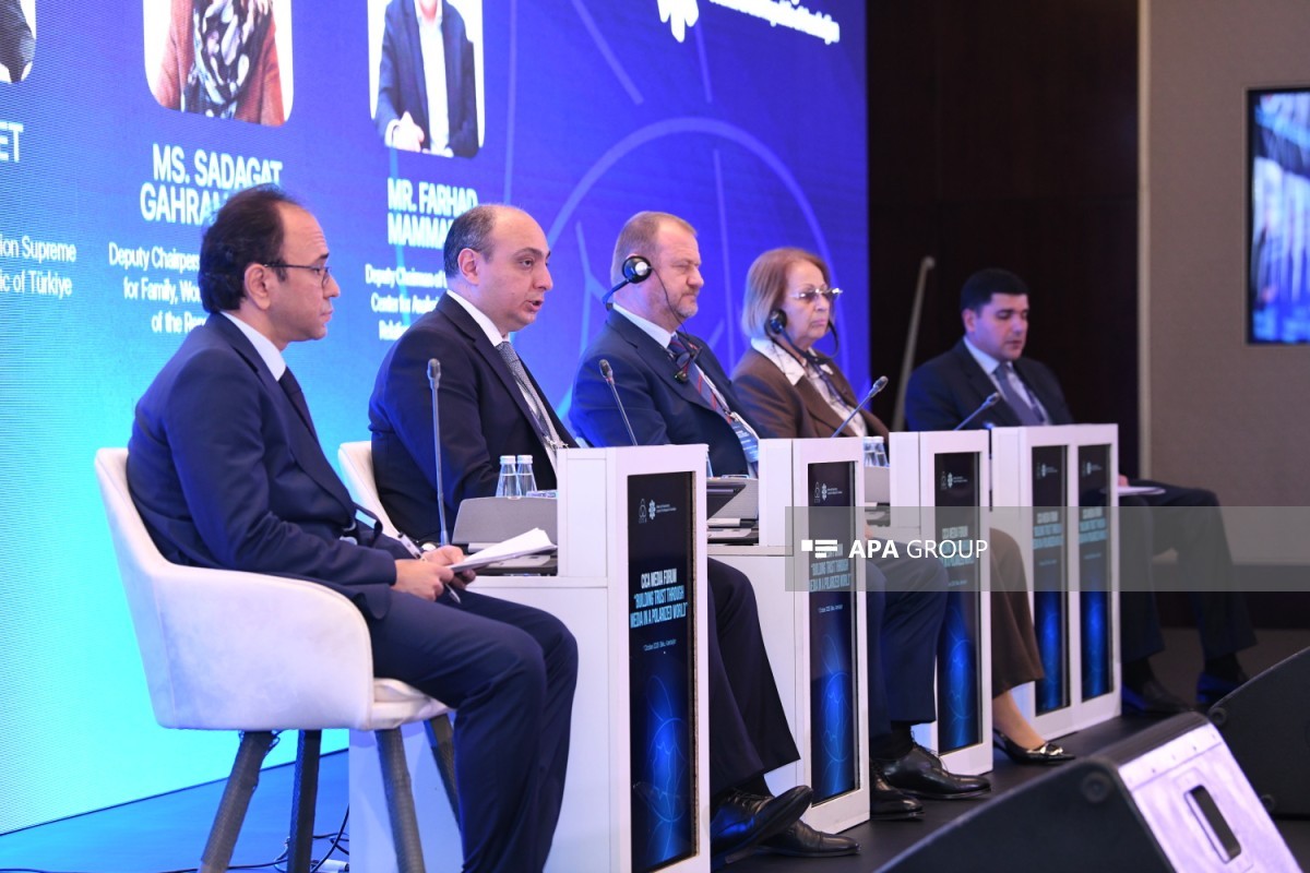 AQEM çərçivəsində “Azərbaycan sədrliyi: Təşəbbüslər, Əməkdaşlıq, Nəticələr” panel sesiyası keçirilib - <span class="red_color">FOTO