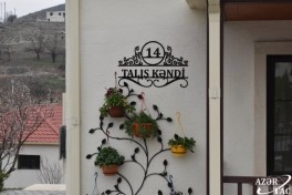 Suqovuşan və Talış kəndlərində görülən işlər açıqlanıb - FOTO 