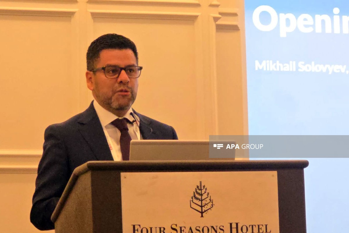 “Fitch Ratings”in Şərqi Avropa üzrə suveren reytinqlər rəhbəri, baş direktor Erich Arispe Morales