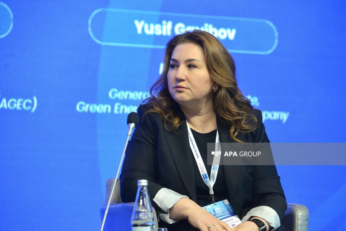 Azərbaycan Yaşıl Enerji Şirkətinin (AGEC) İdarə Heyəti sədrinin müavini Xəyalə Nağıyeva