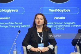 AGEC: Azərbaycanda bərpa olunan enerji layihələrinin icra mexanizmləri təkmilləşdirilməlidir