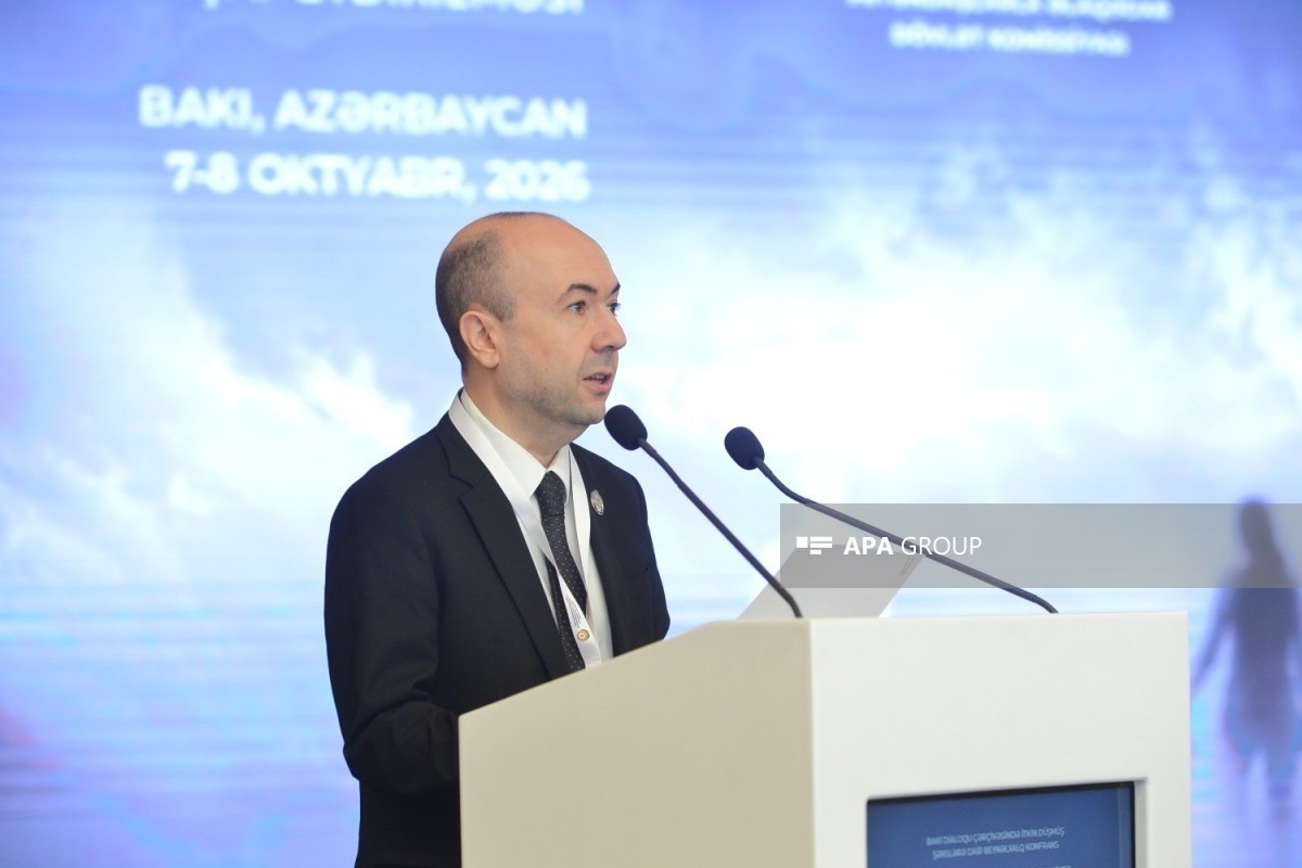 Deputy Foreign Minister of Azerbaijan Fariz Rzayev