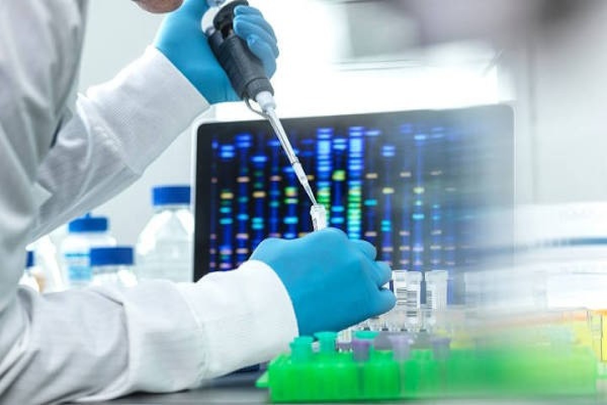 No match found between DNA profiles of 50 missing persons submitted by Armenia and discovered remains